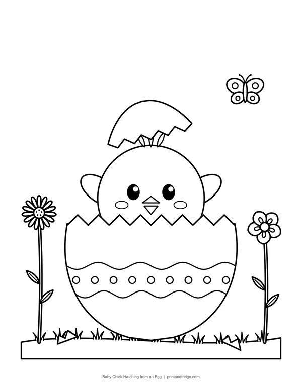 Baby Chick Hatching from an Egg printable coloring page