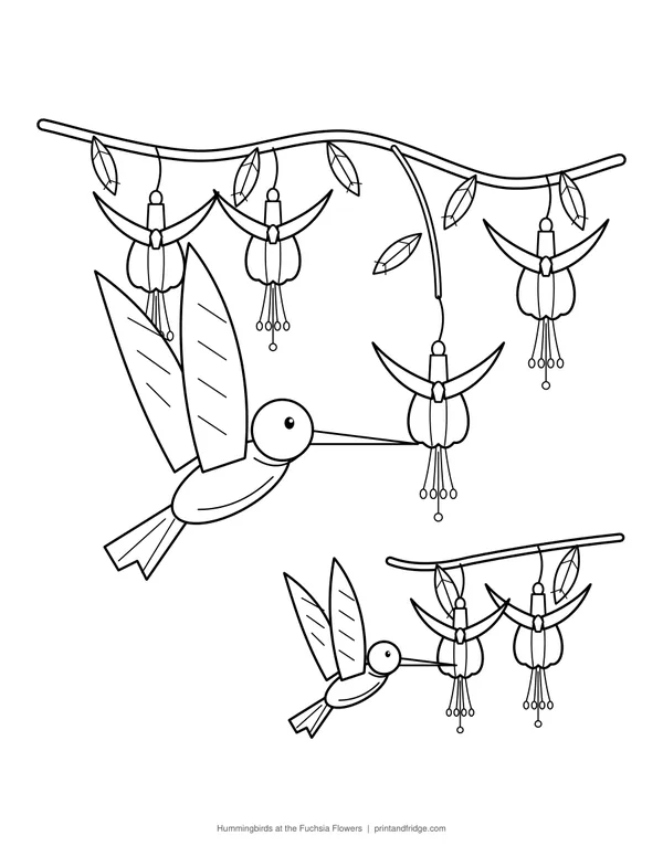Hummingbirds at the Fuchsia Flowers printable coloring page
