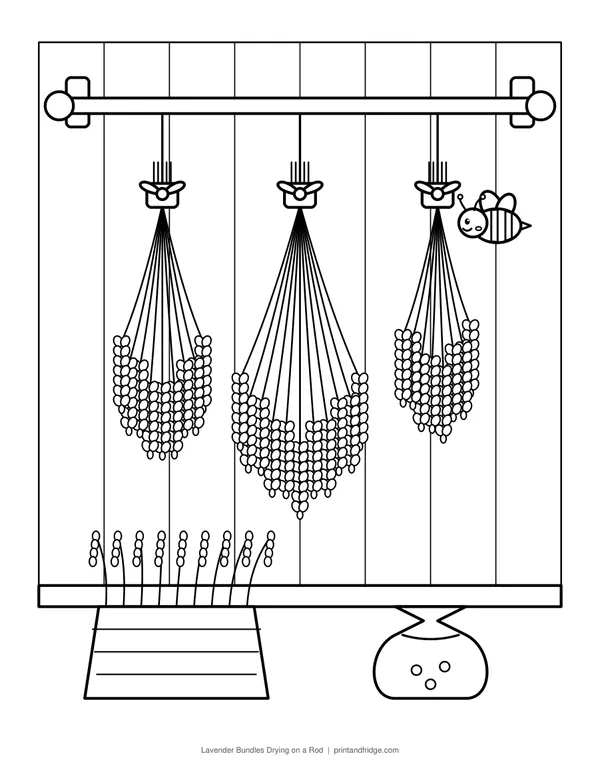 Lavender Bundles Drying on a Rod printable coloring page