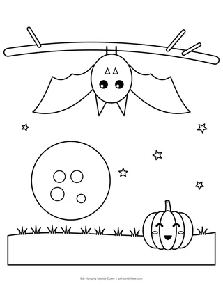 Bat Hanging Upside Down