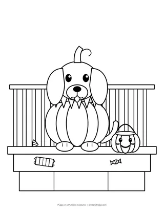 Puppy in a Pumpkin Costume