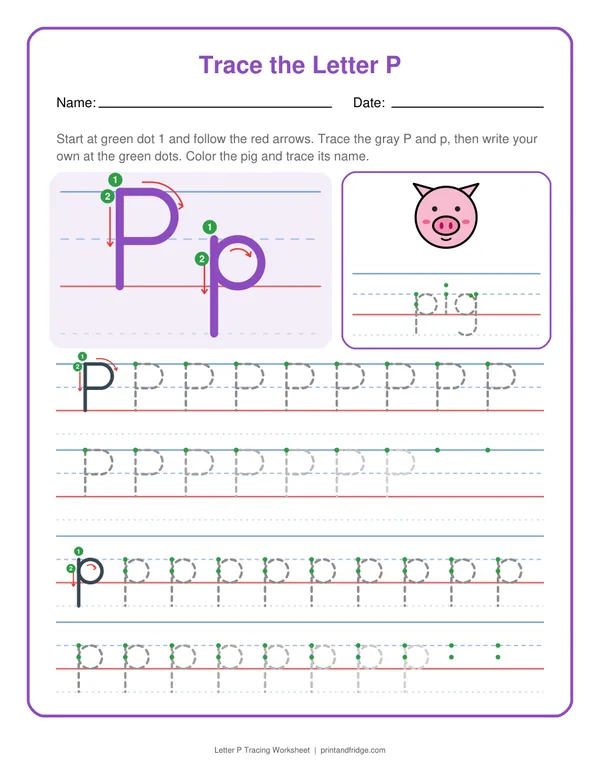 Letter P Tracing Worksheet printable worksheet