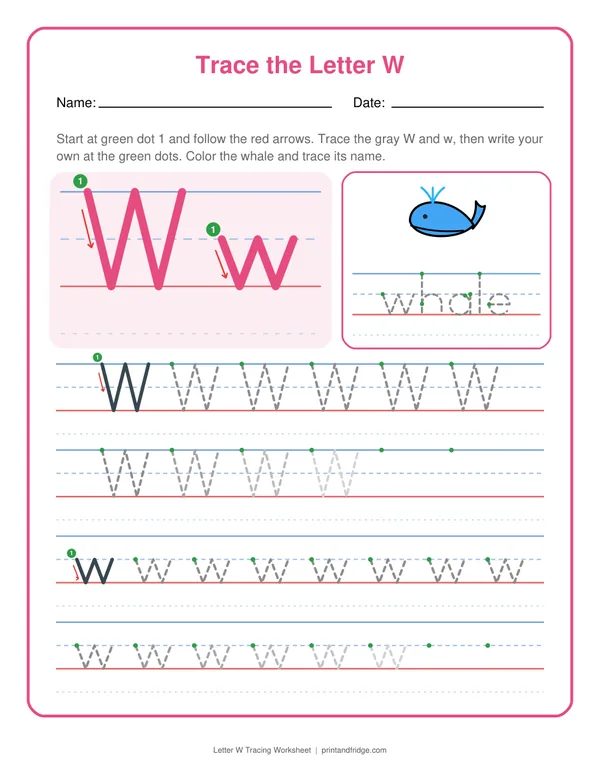 Letter W Tracing Worksheet printable worksheet