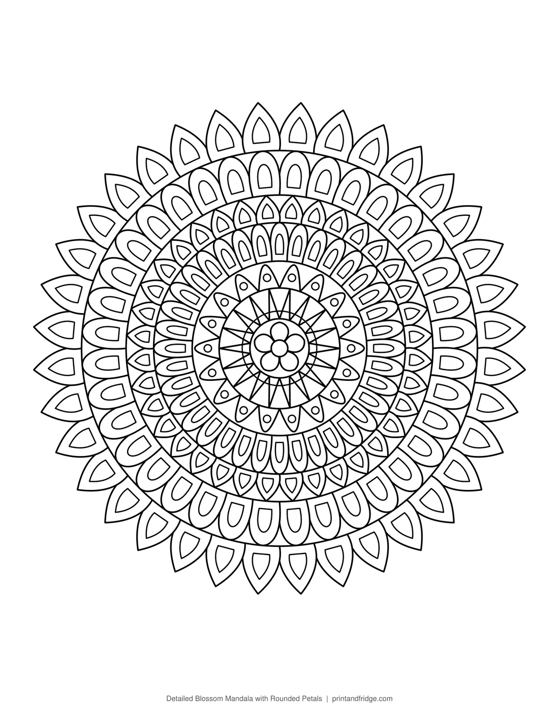 Detailed Blossom Mandala with Rounded Petals printable coloring page