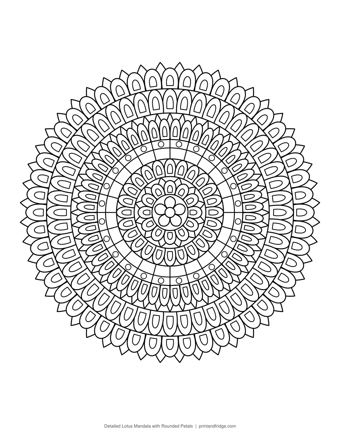 Detailed Lotus Mandala with Rounded Petals printable coloring page