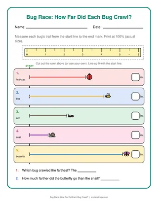 Bug Race: How Far Did Each Bug Crawl?