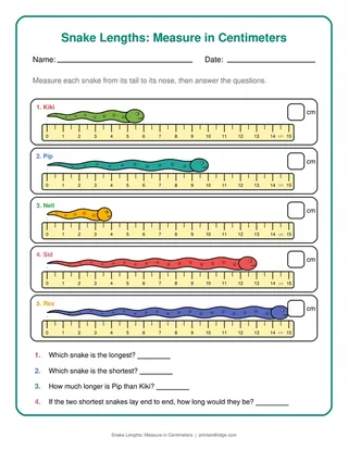 Snake Lengths: Measure in Centimeters