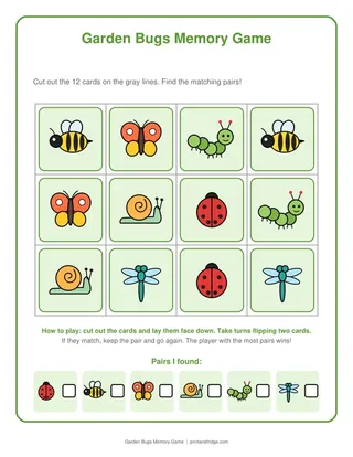 Garden Bugs Memory Game