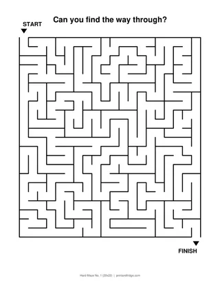 Hard Maze No. 1 (20x22)