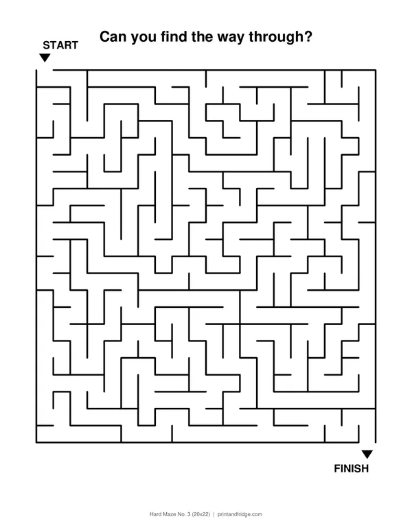 Hard Maze No. 3 (20x22) printable maze