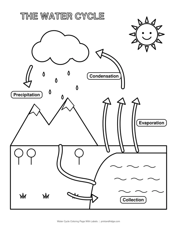 Water Cycle Coloring Page With Labels printable coloring page