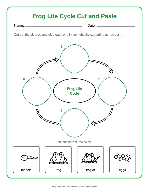 Frog Life Cycle Cut and Paste printable worksheet