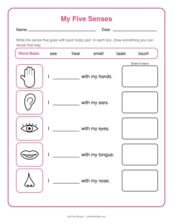 My Five Senses printable worksheet