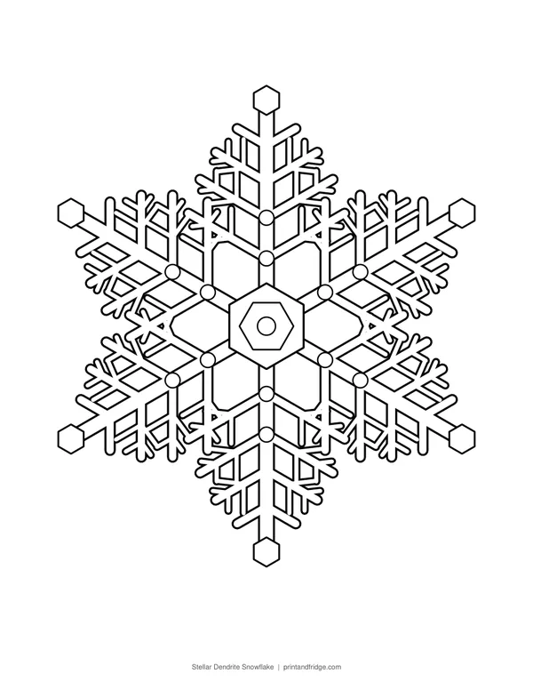 Stellar Dendrite Snowflake printable coloring page
