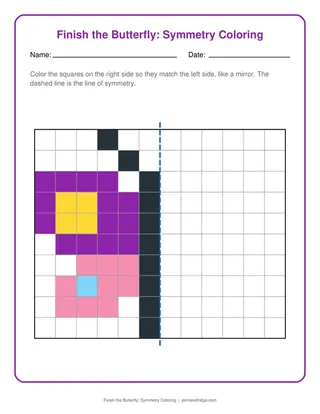 Finish the Butterfly: Symmetry Coloring