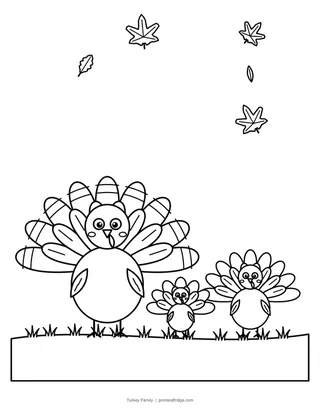 Turkey Family