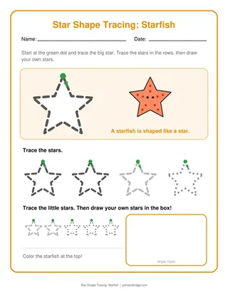 Star Shape Tracing: Starfish