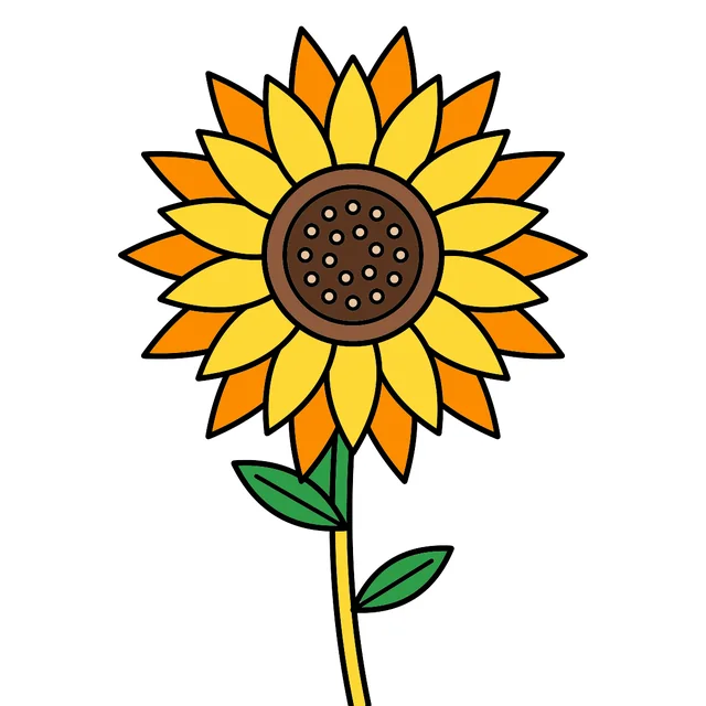 sunflower drawing colored in