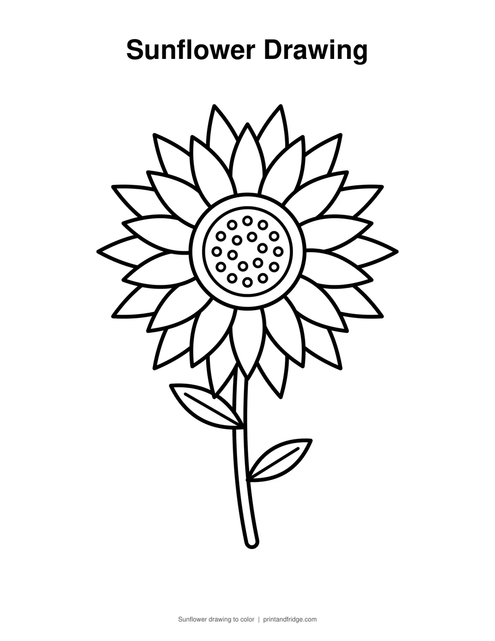 sunflower drawing printable to color